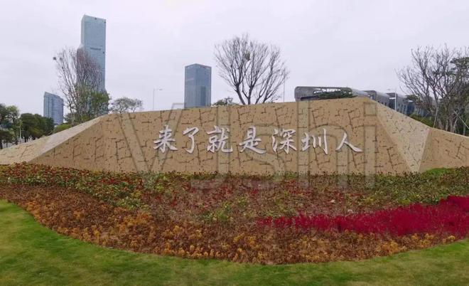 年20万人流入一线城市人口争夺完胜瓦力棋牌试玩人口增量全国第一深圳一(图7)